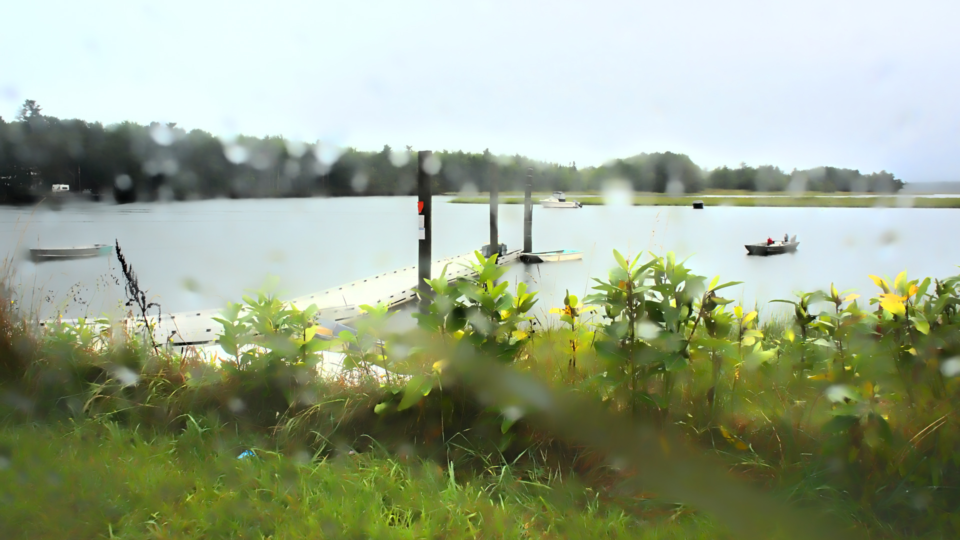 Clay Pits Road Rainy Day
