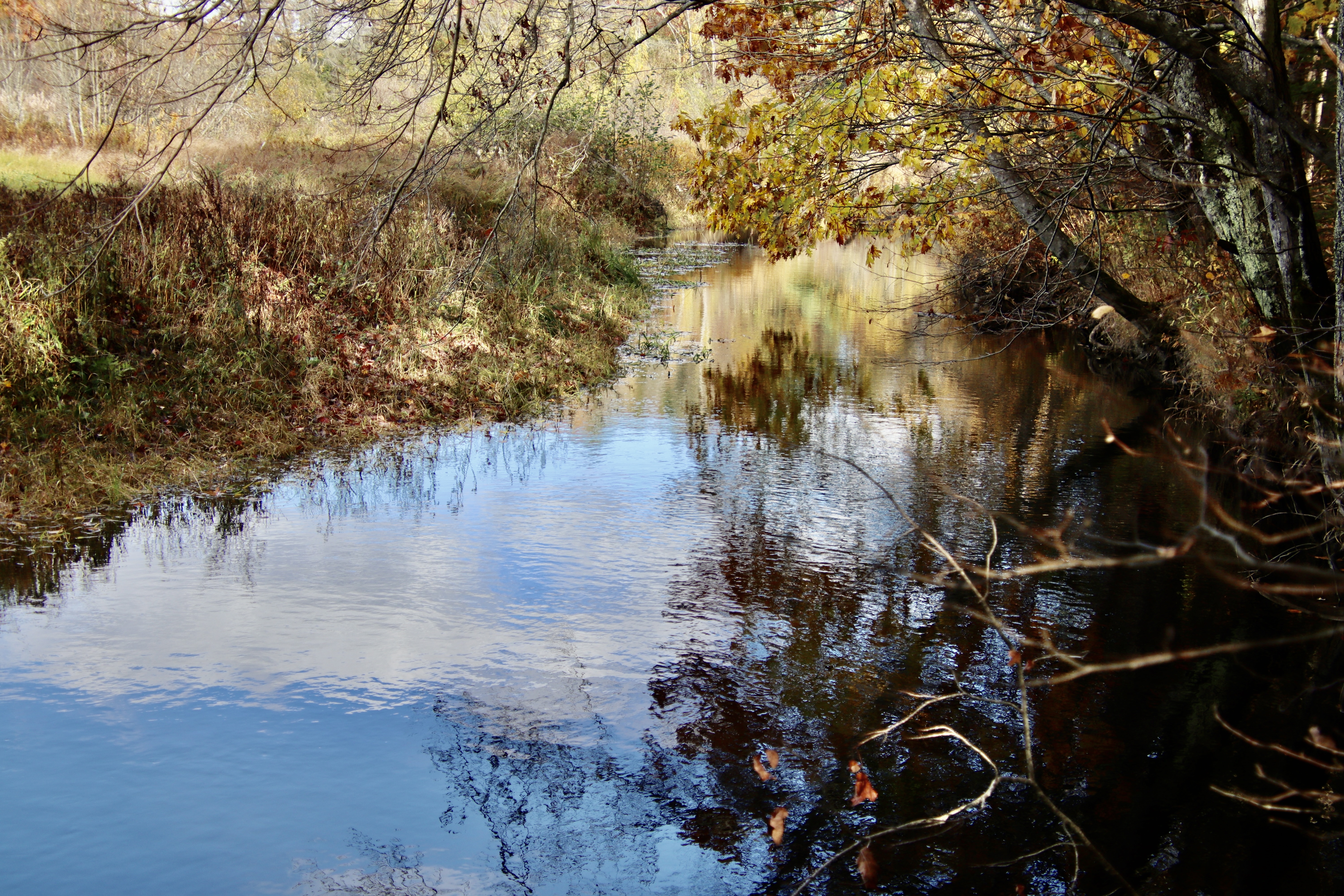 View from Woodspeed Rd./Hunnewell Hill trails.