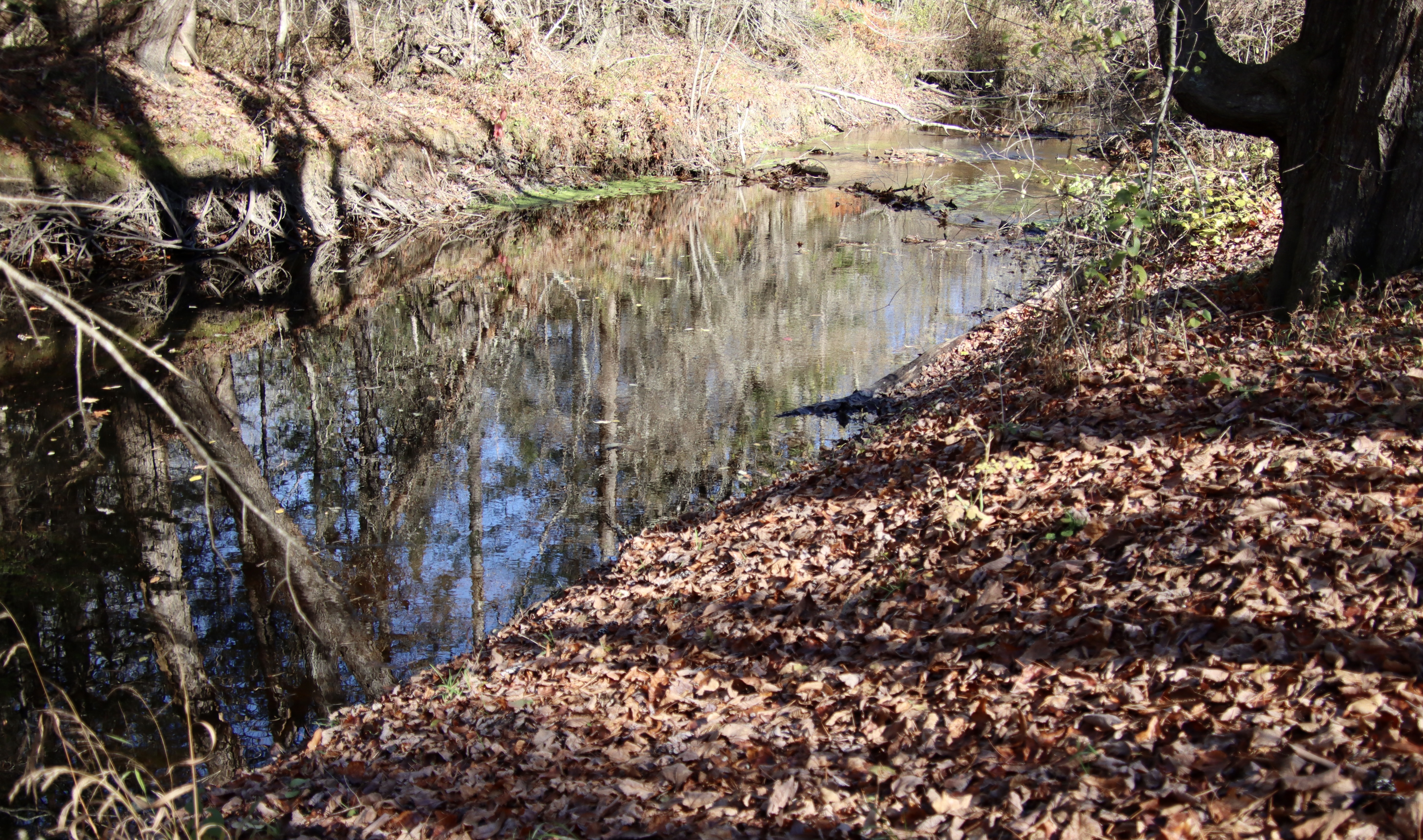 From the trails off Fengler Rd, opposite the view from the Fuller Farm trails.