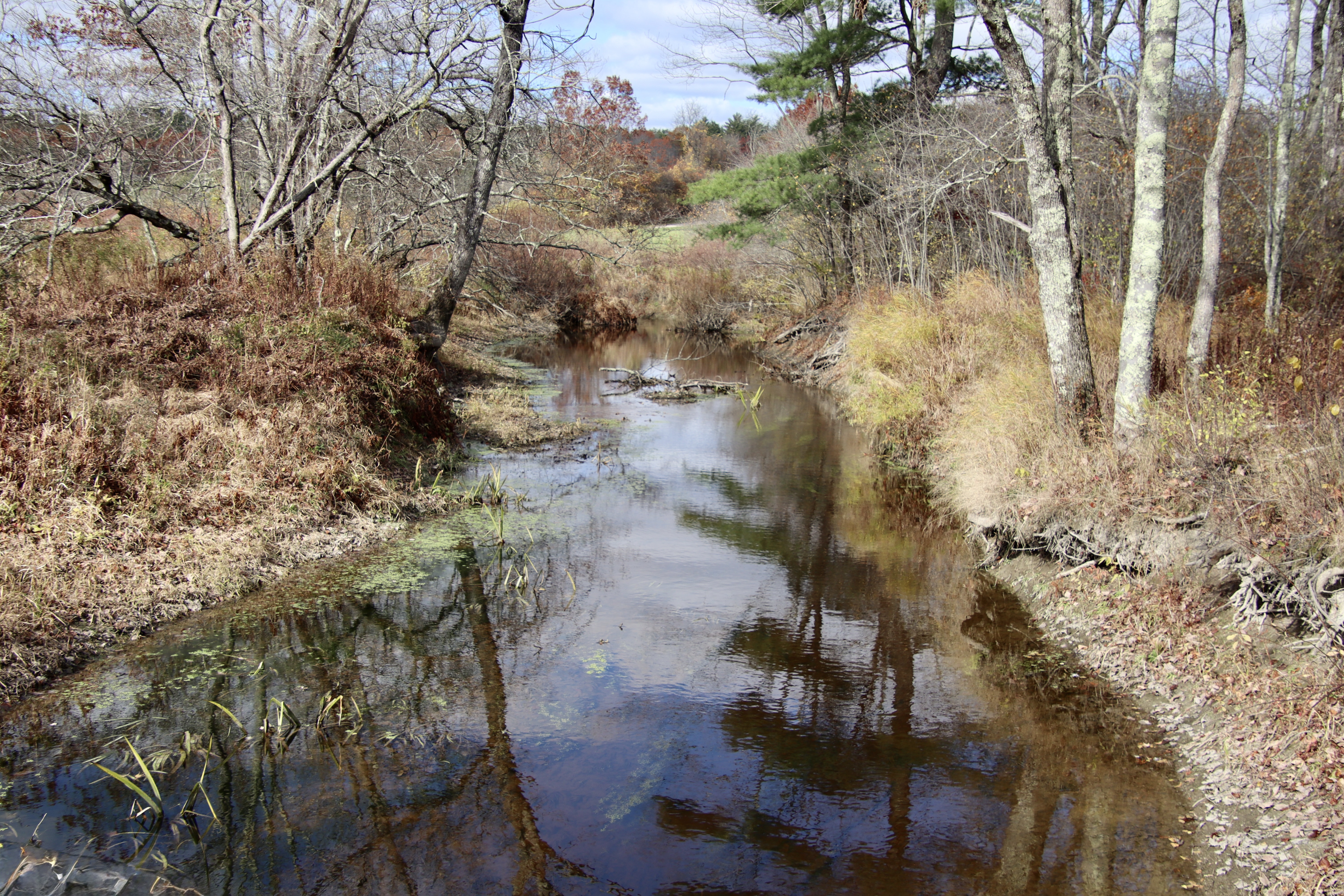 The Nonesuch as it makes its way through the golf course.