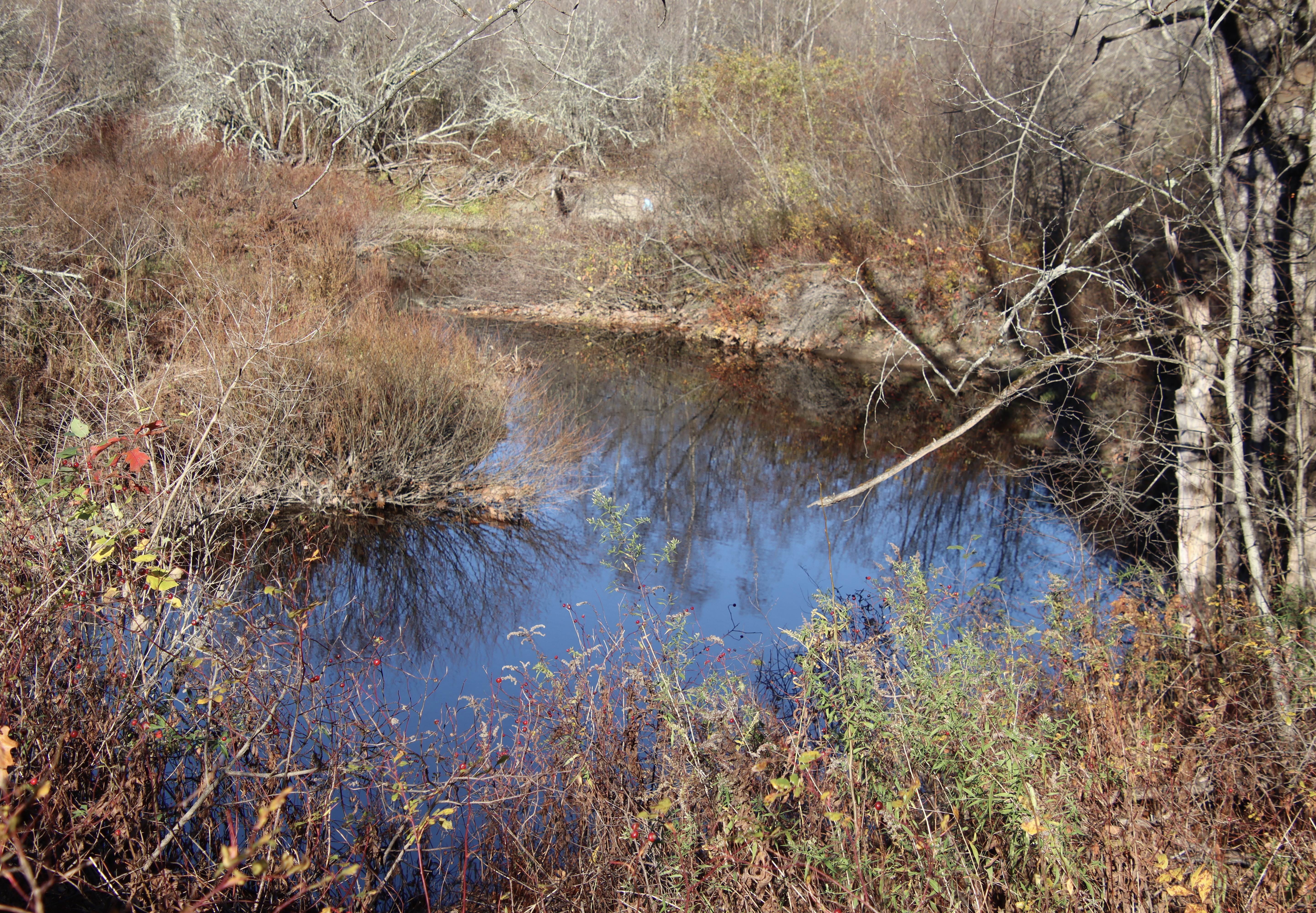 View from Gorham Road - edge of SLT property.