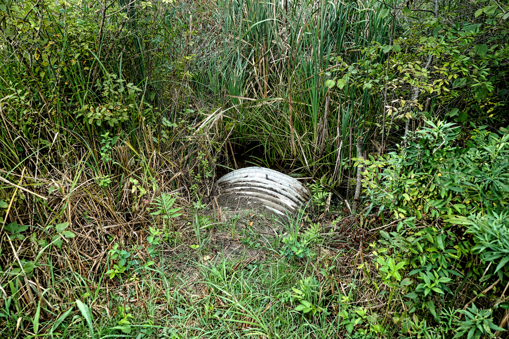 Mill Brook Marsh - Point 3 - Culvert