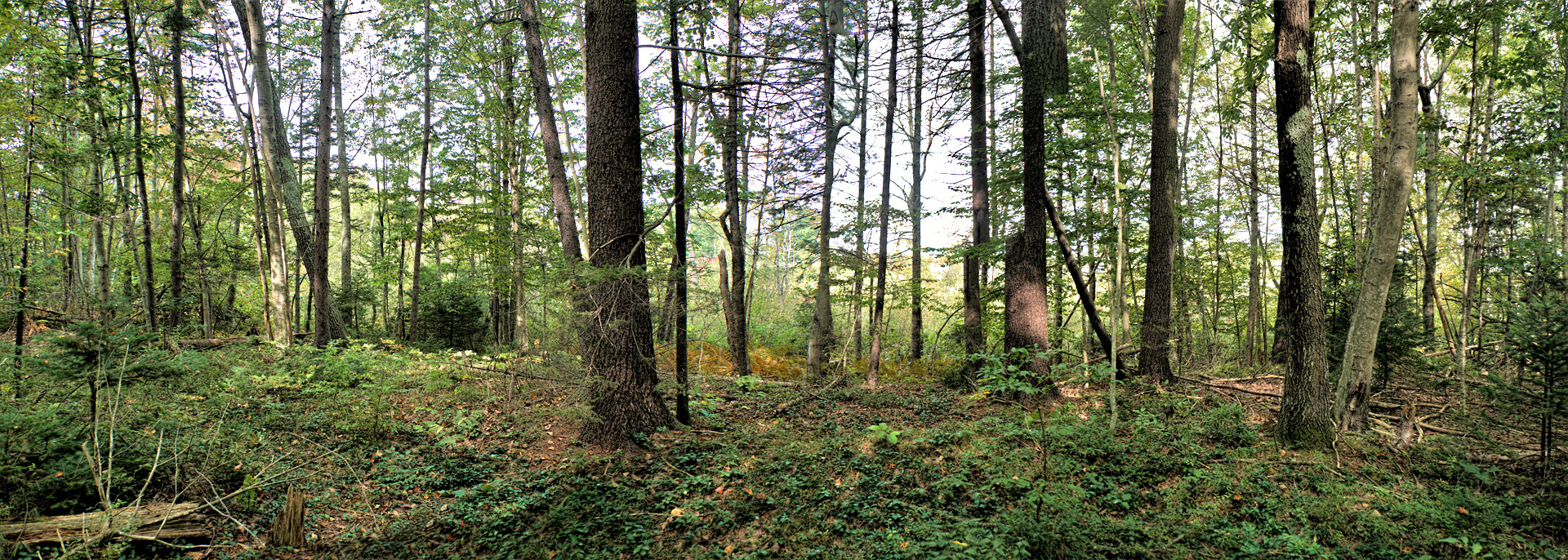 Mill Brook Point 04