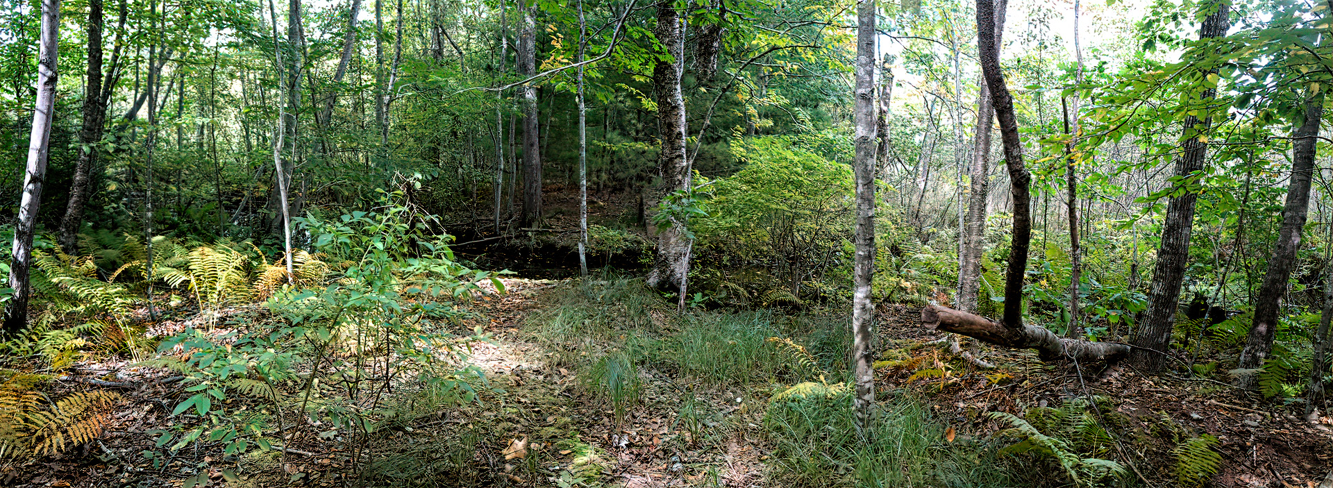 Mill Brook Point 04