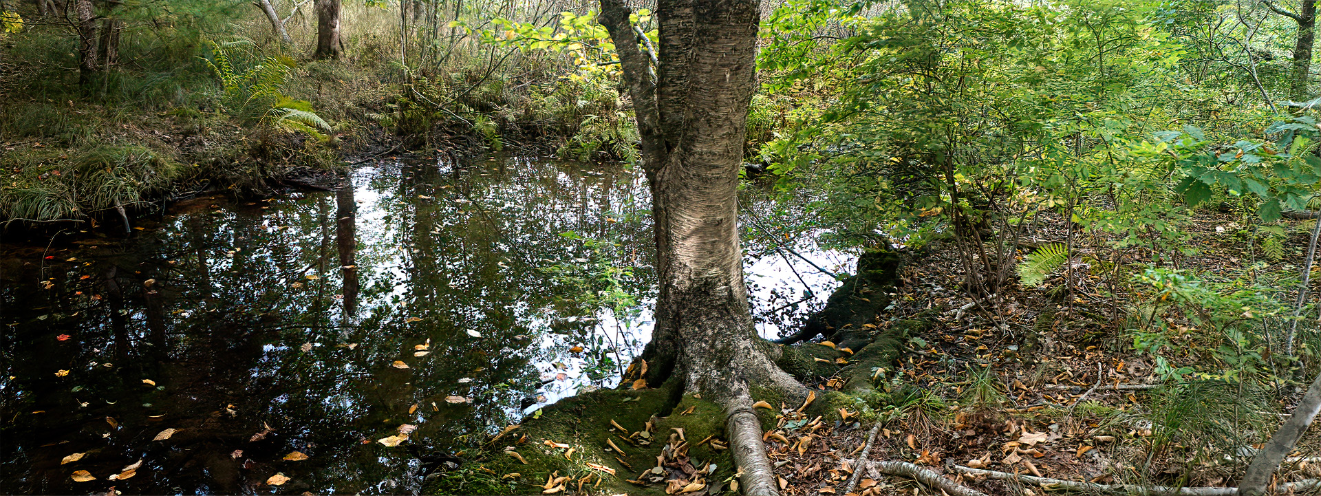 Mill Brook Point 04