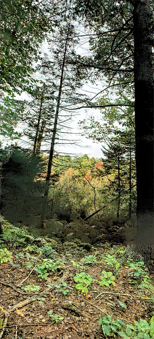Mill Brook Point 04