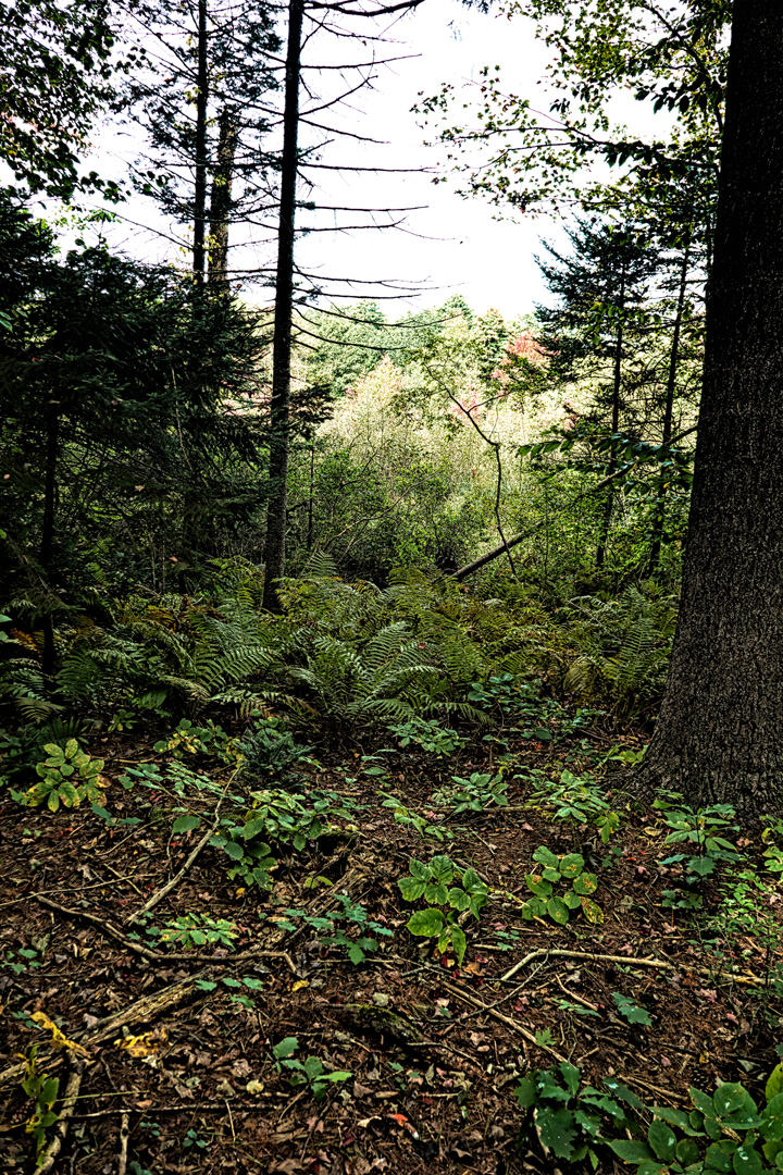 Mill Brook Point 04
