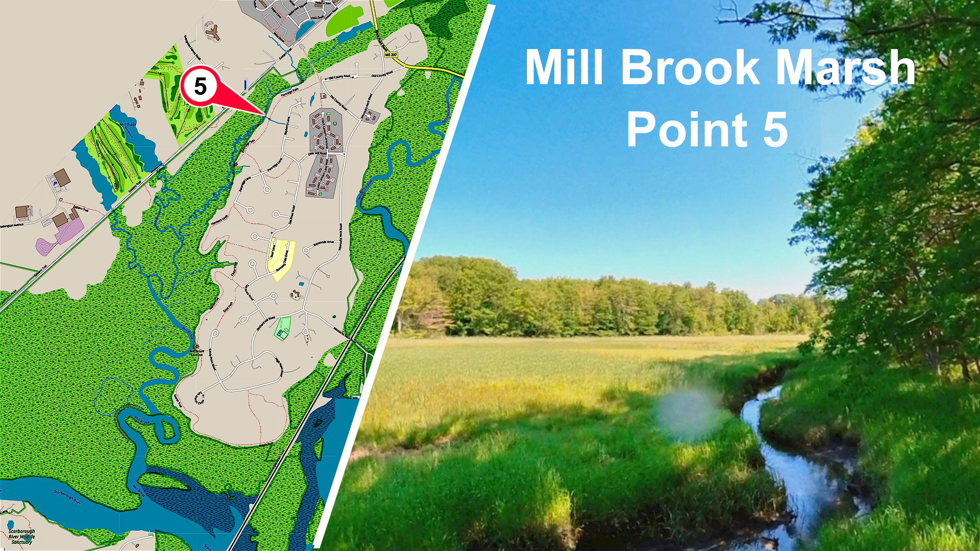 Mill Brook Point 05