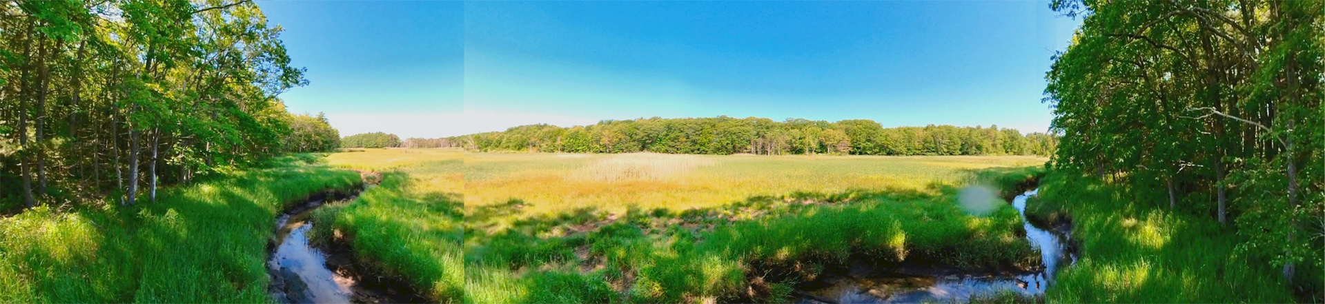 Mill Brook Point 05