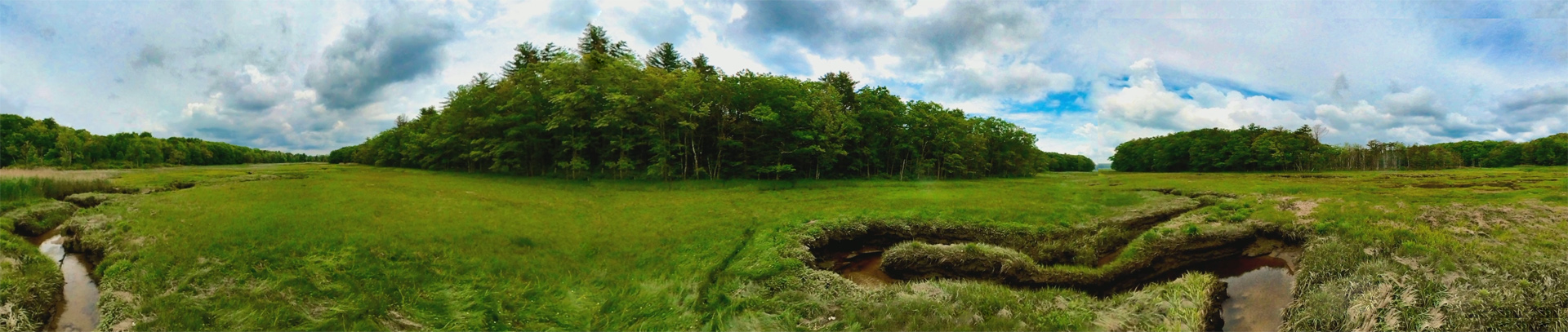 Mill Brook 06