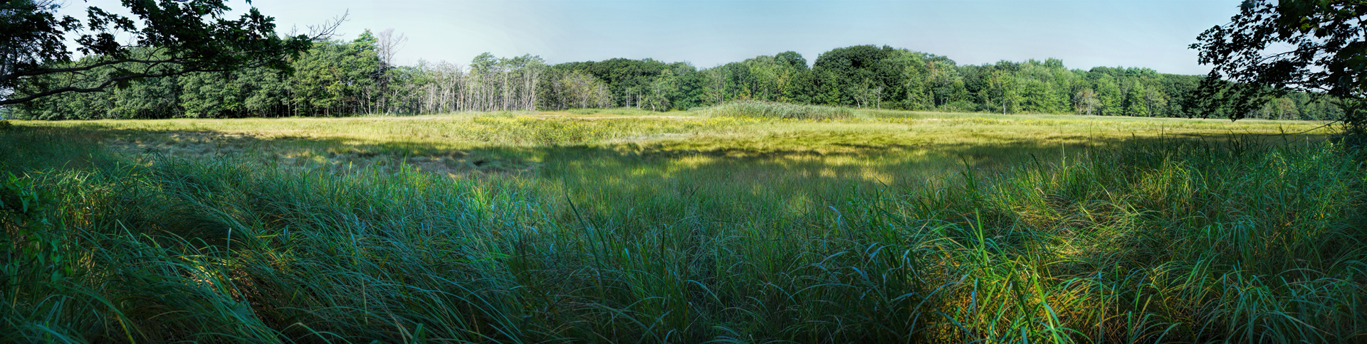 Mill Brook Point 06