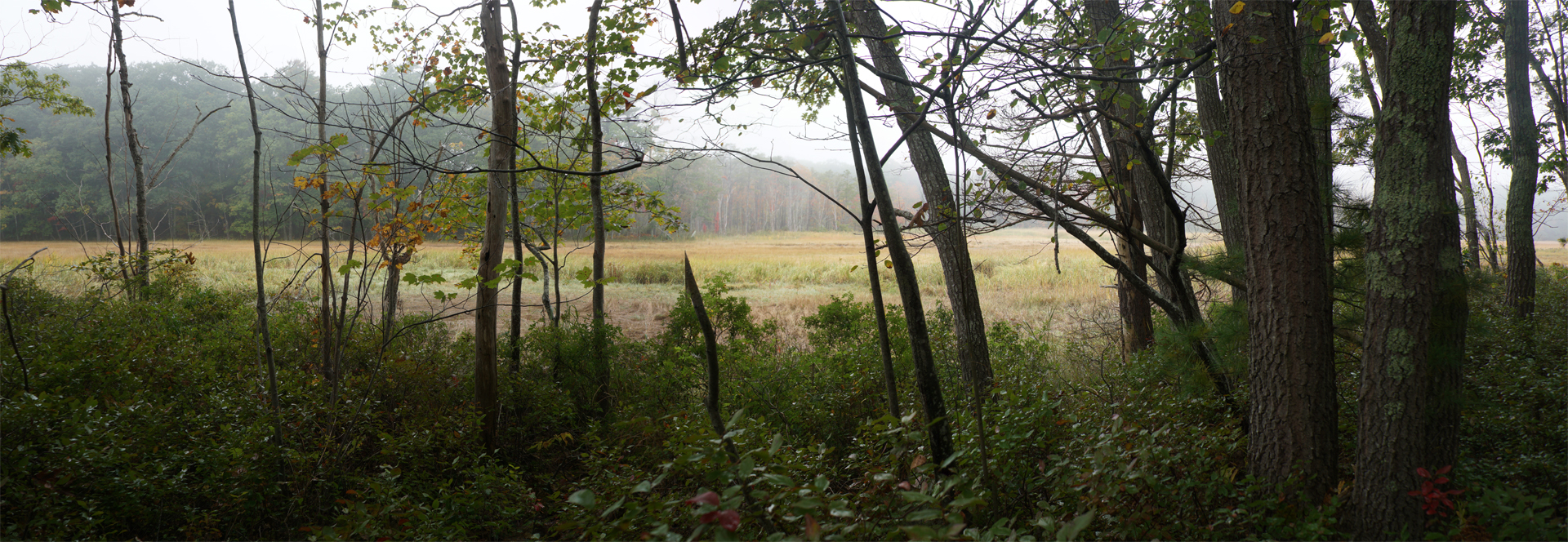 Mill Brook Point 06