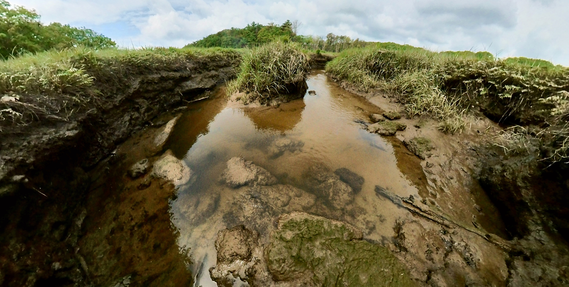 Mill Brook Point 06