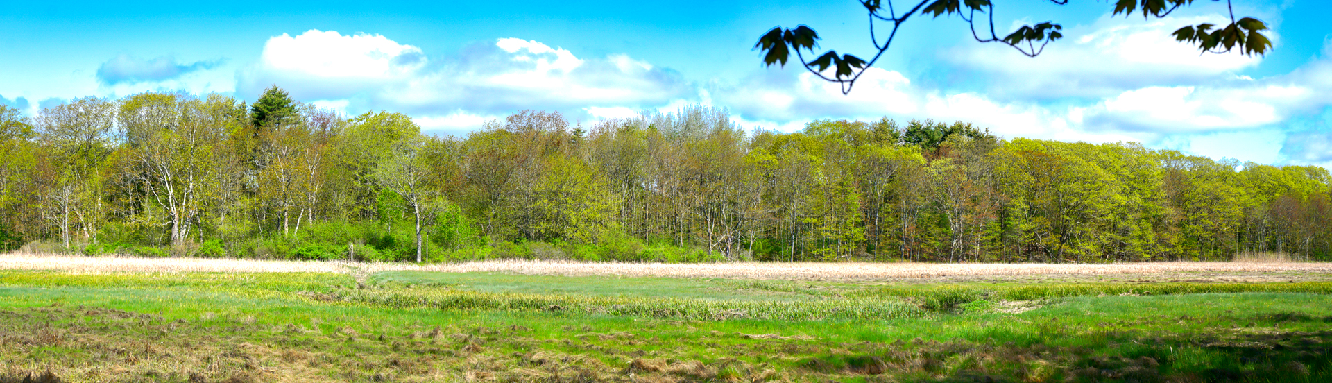 Mill Brook Point 06