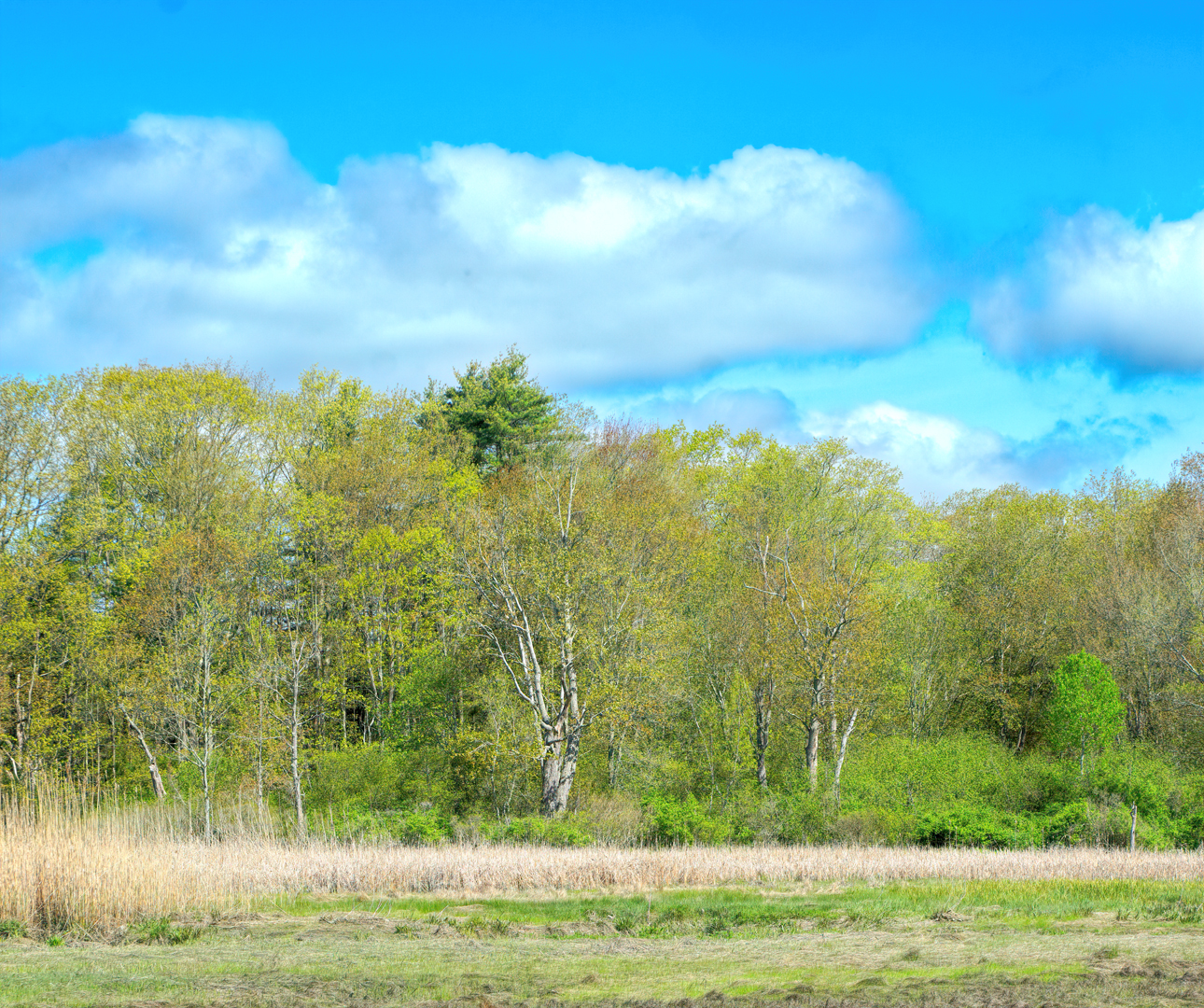 Mill Brook Point 06