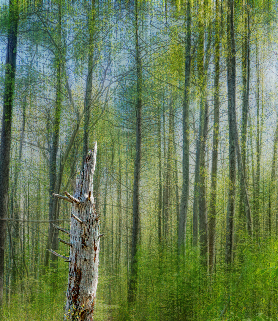 Mill Brook Point 06
