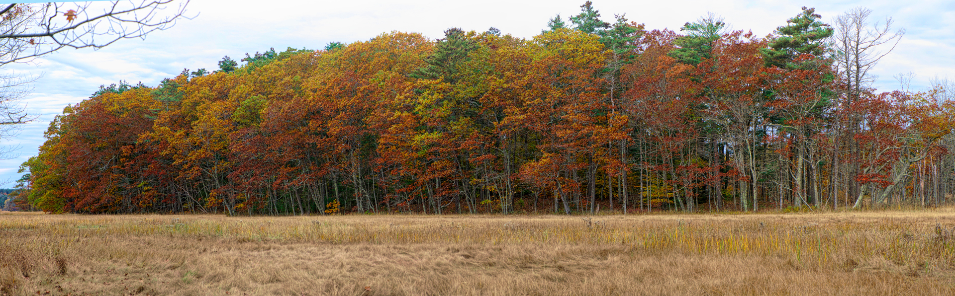 Mill Brook Point 06