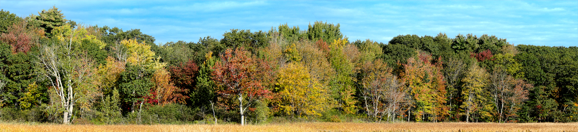 Mill Brook Point 06