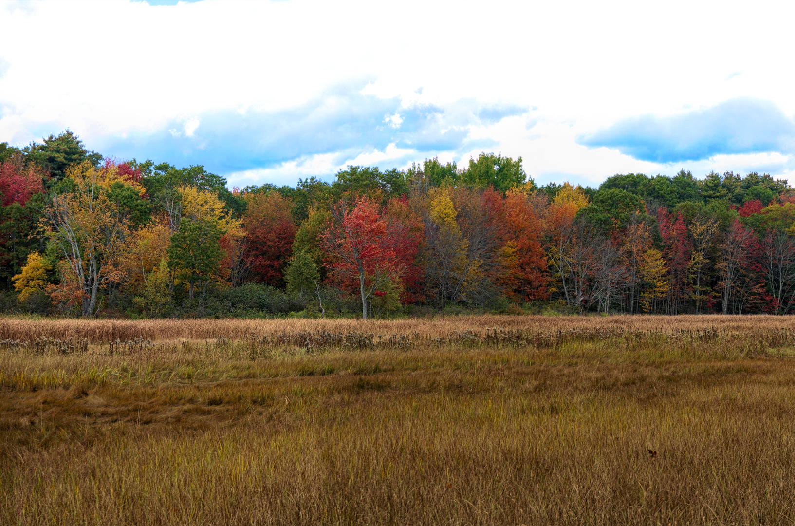 Mill Brook Point 06