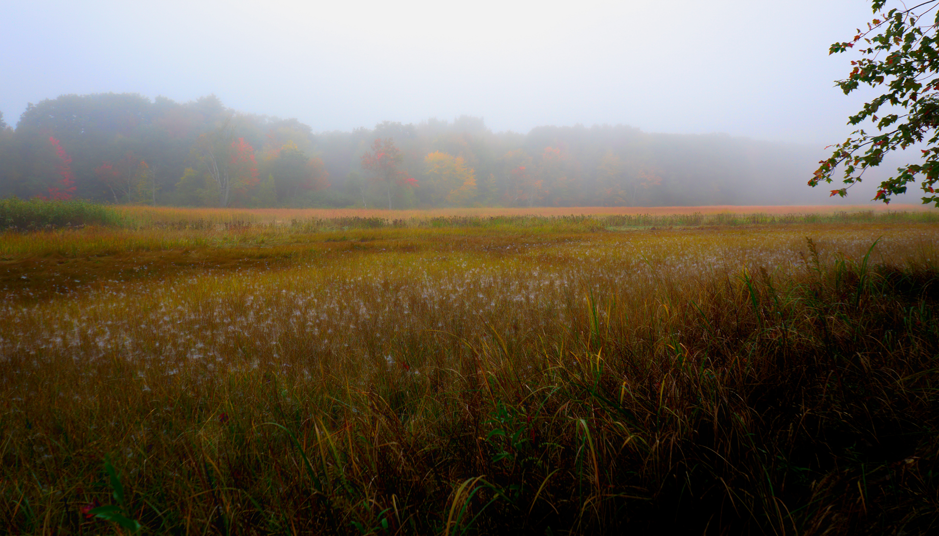 Mill Brook Point 06