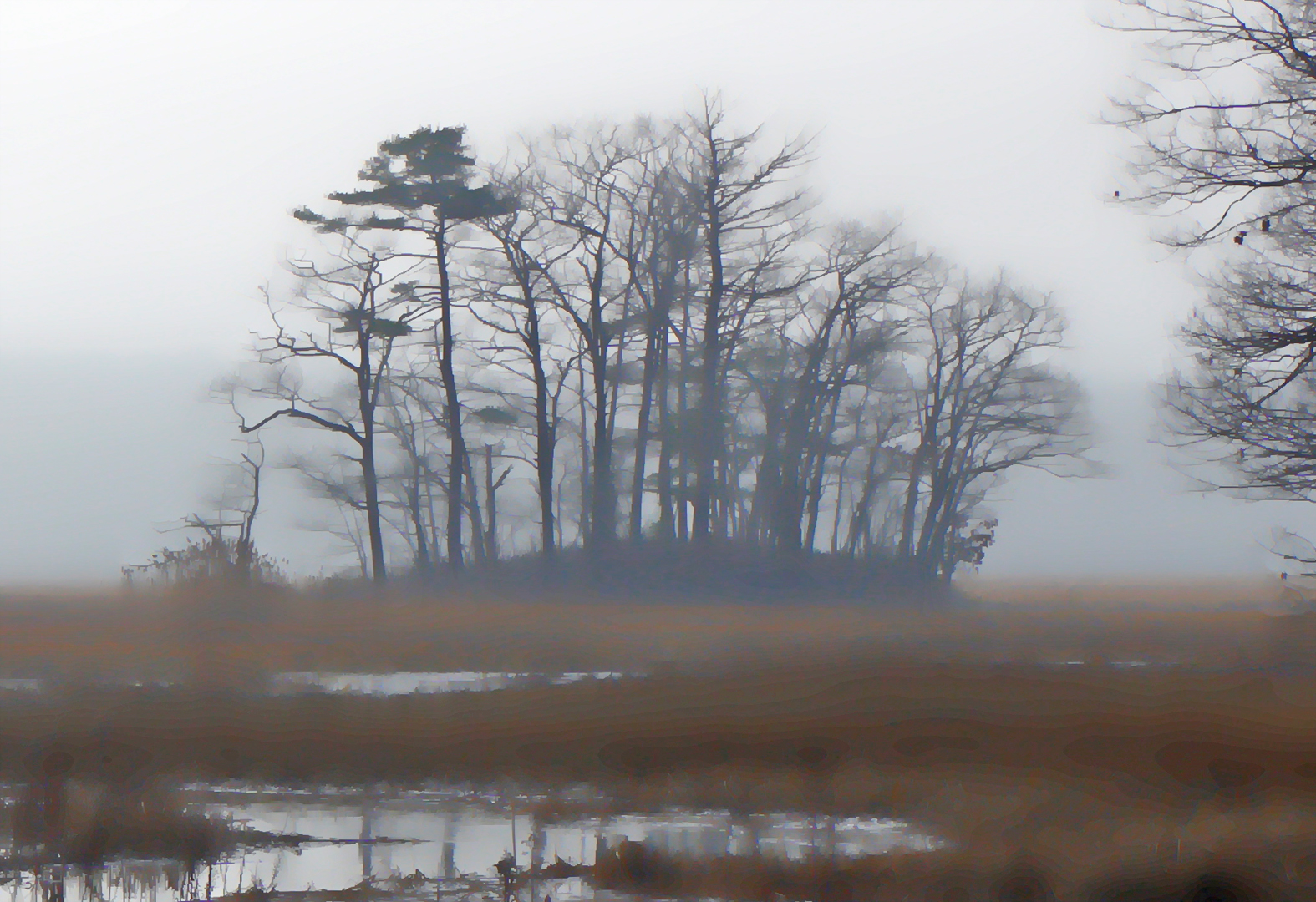 Mill Brook Point 06