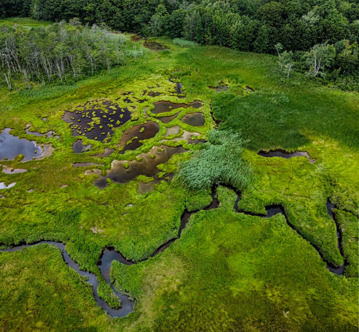 Mill Brook Point 06