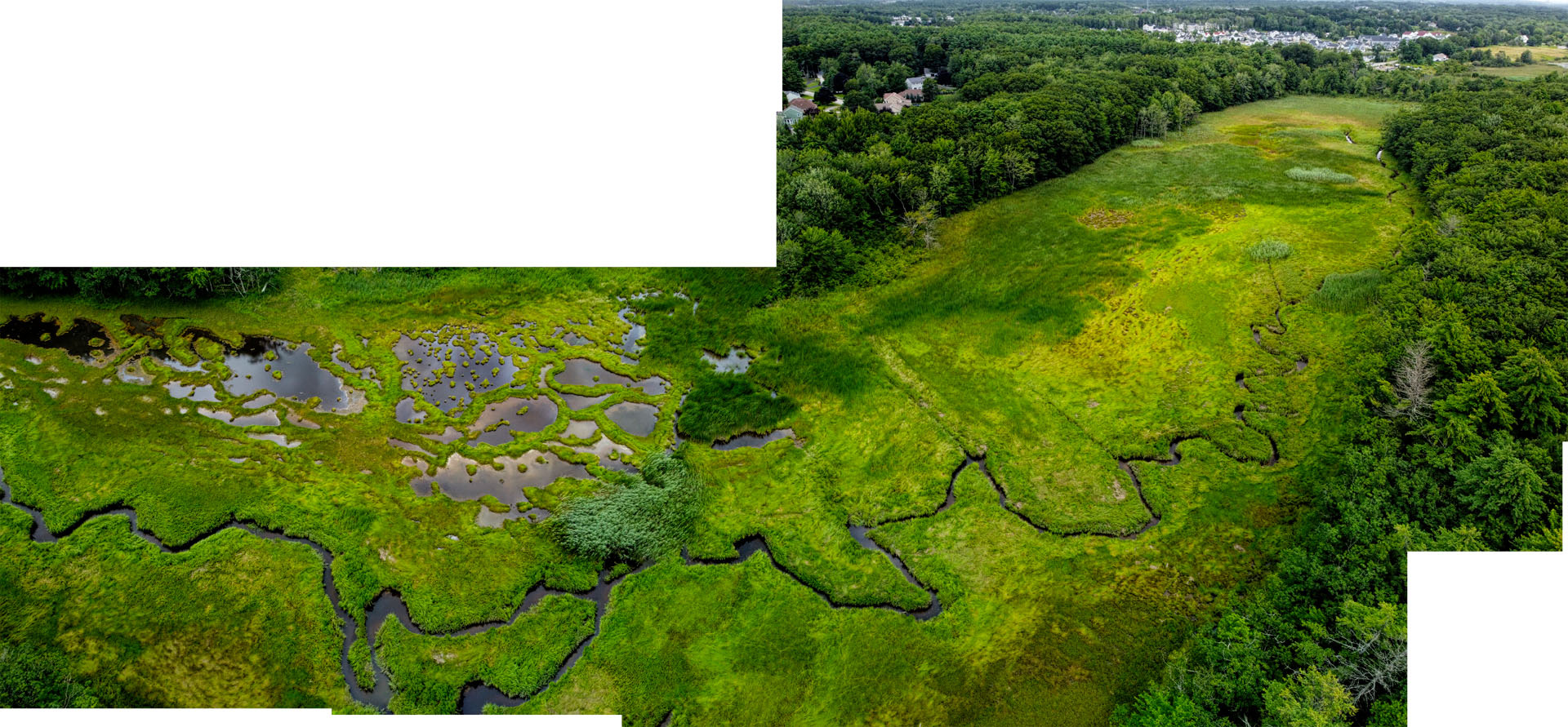 Mill Brook Point 06