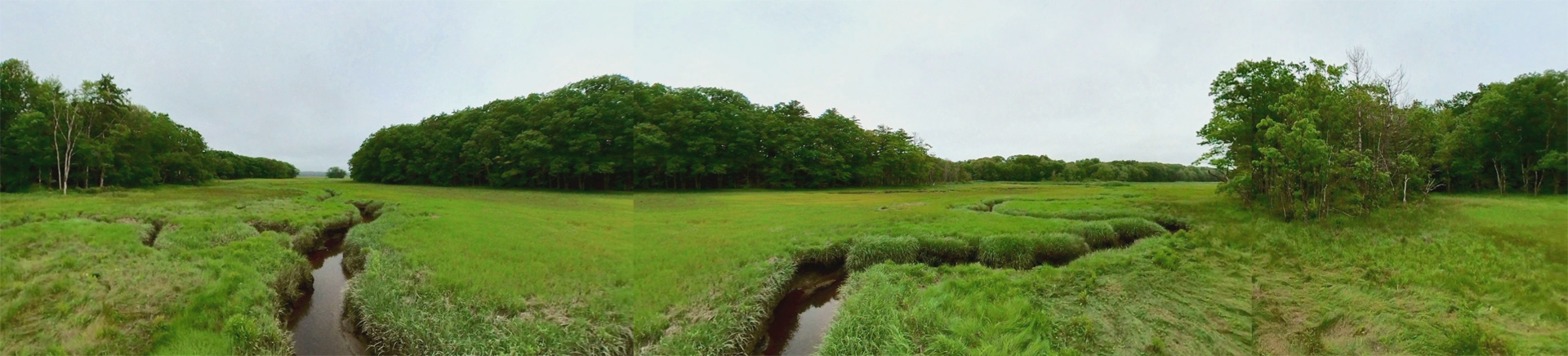 Mill Brook Marsh - Point 7 - Panorama