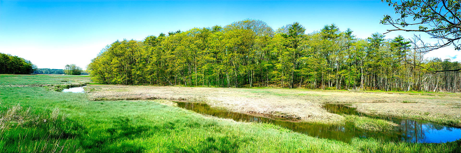 Mill Brook Marsh - Point 7 - Spring Panorama