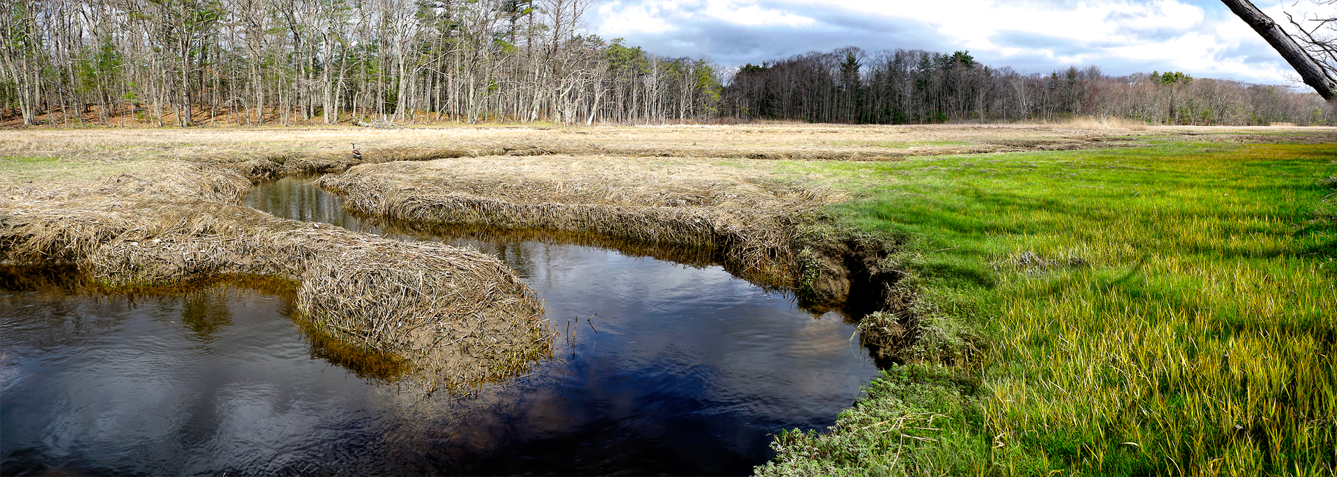 Mill Brook Marsh - Point 7 - Spring Panorama
