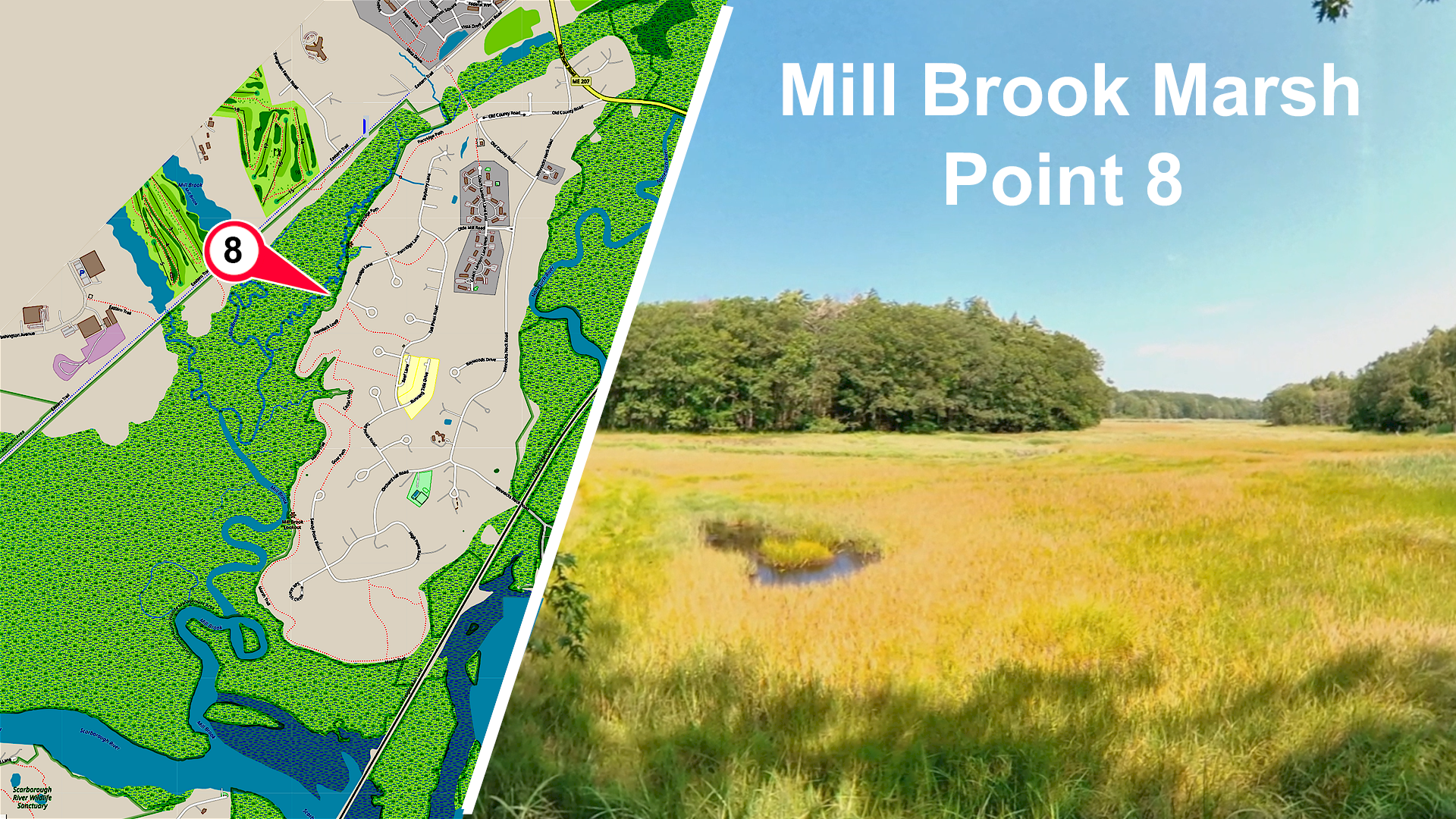 Mill Brook Marsh - Point 8