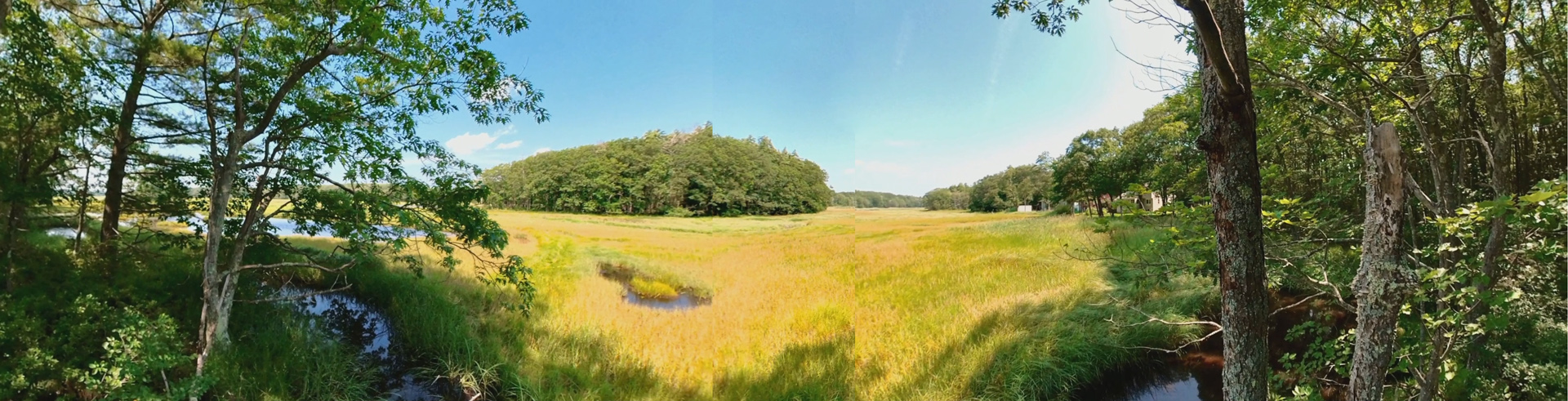 Mill Brook Marsh - Point 8 - Panorama