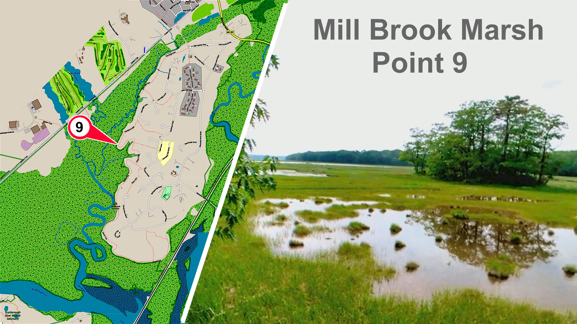 Mill Brook Marsh - Point 9