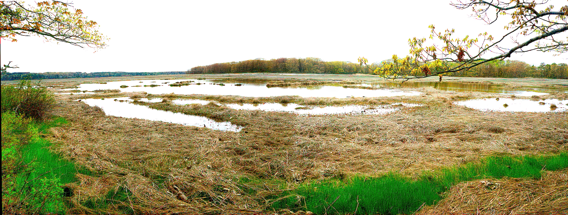 Mill Brook Marsh - Point 10 - Spring Panorama