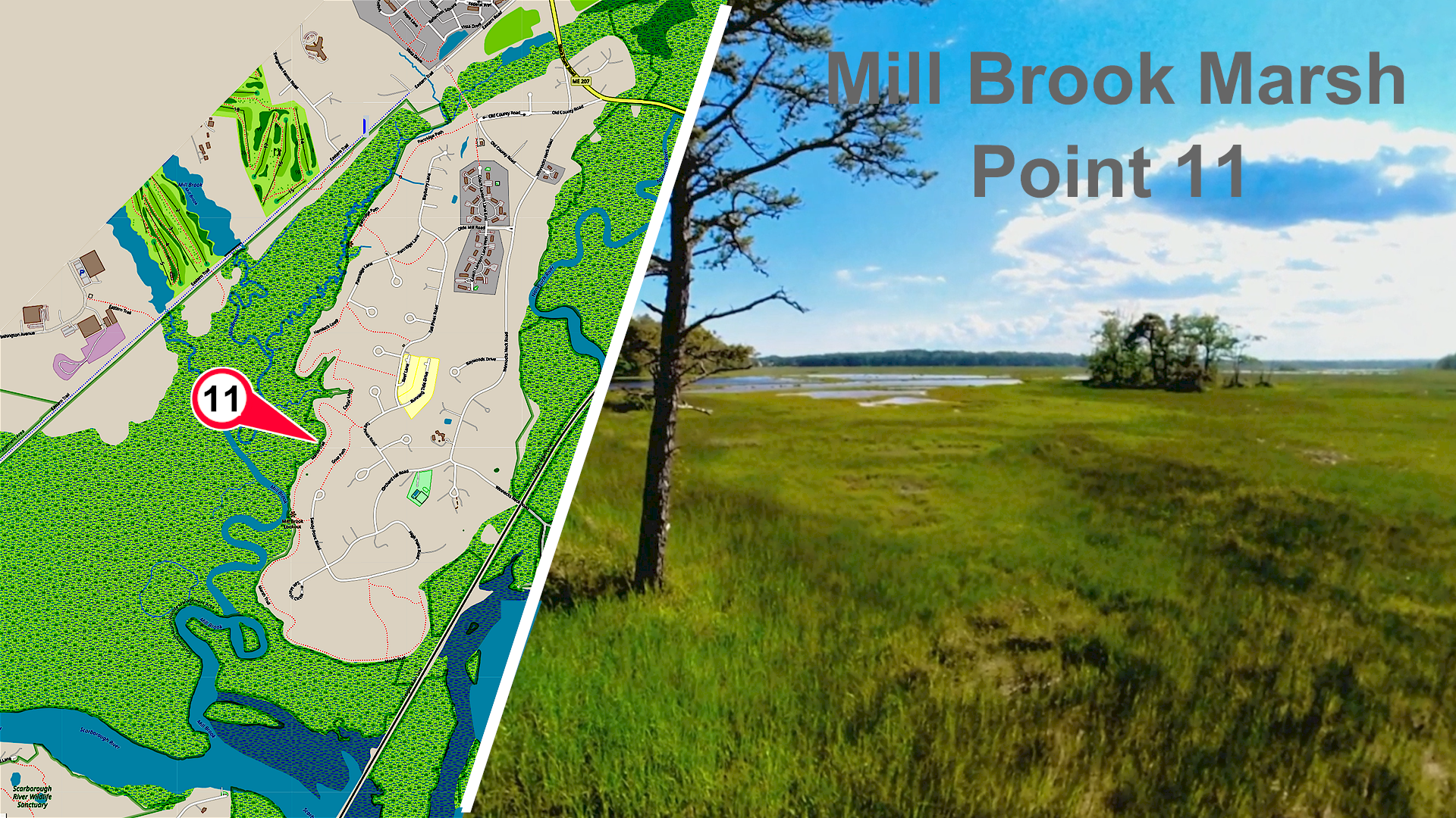 Mill Brook Marsh - Point 11