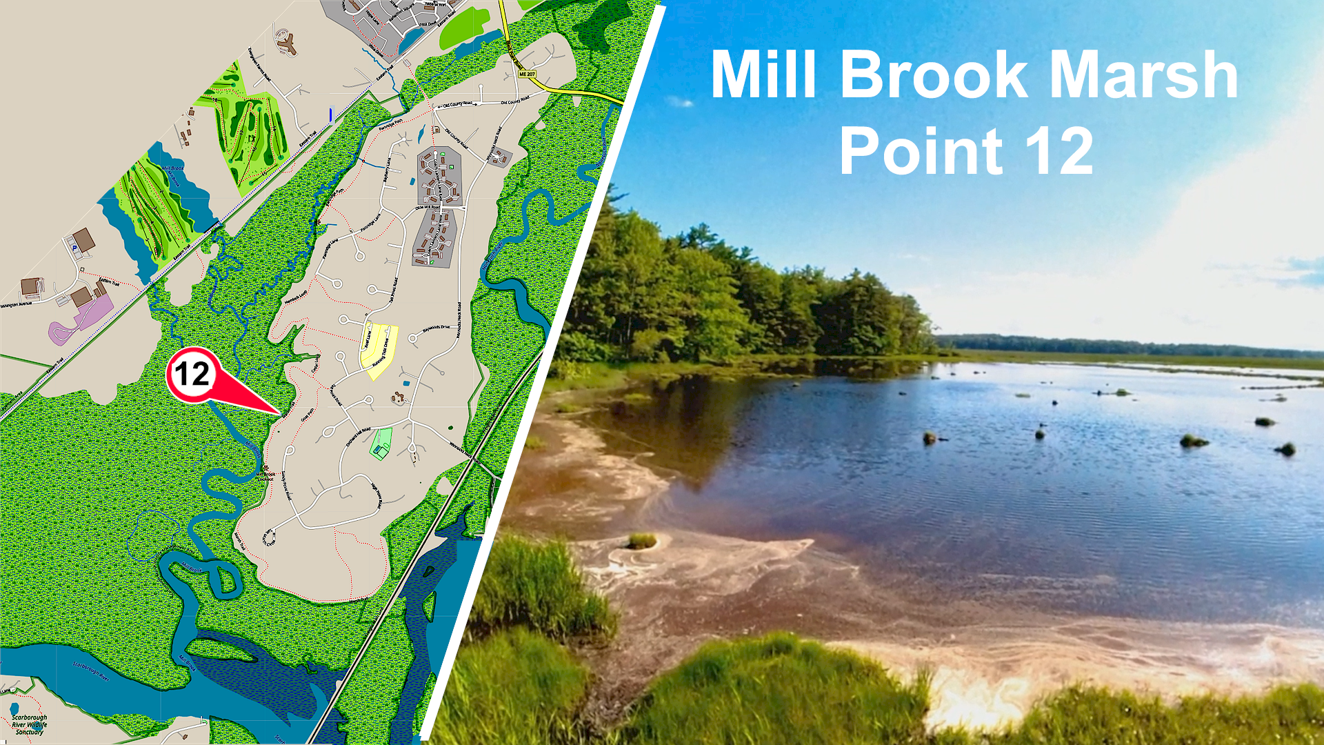 Mill Brook Marsh - Point 12