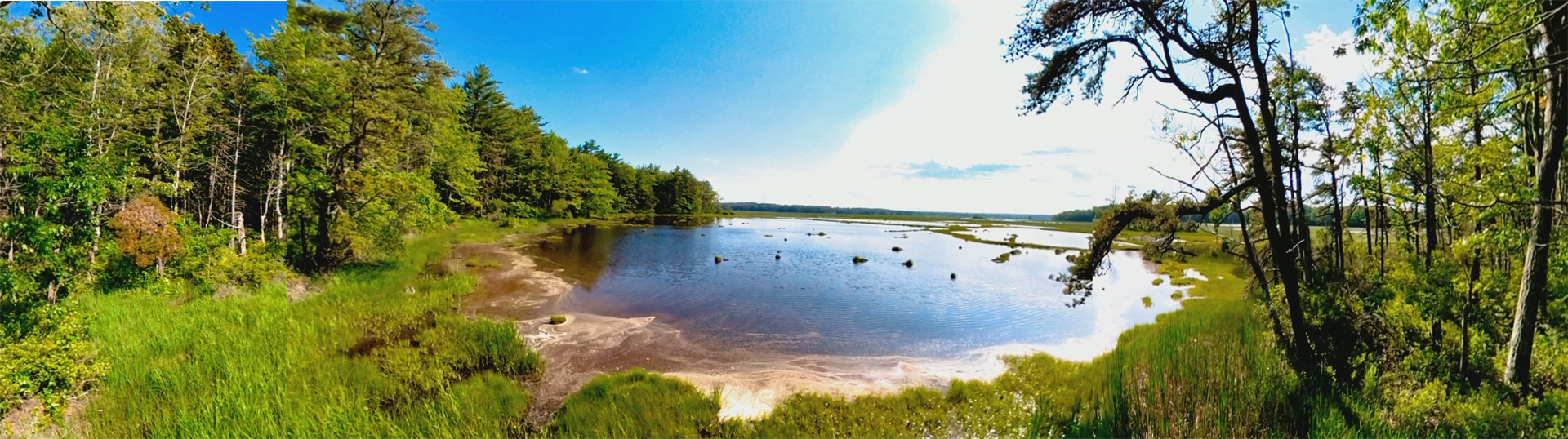 Mill Brook Marsh - Point 12 - Panorama