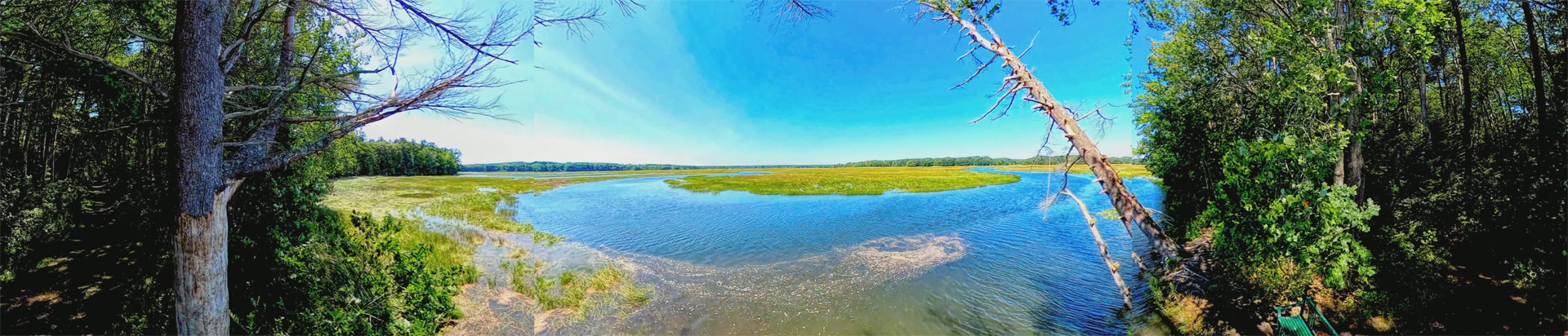 Mill Brook Marsh - Point 13 - Panorama