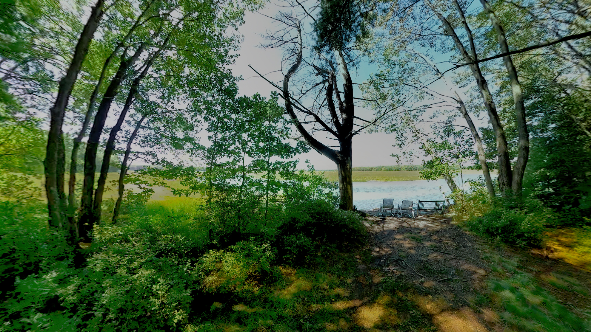 Mill Brook Marsh - Point 13 - Trees