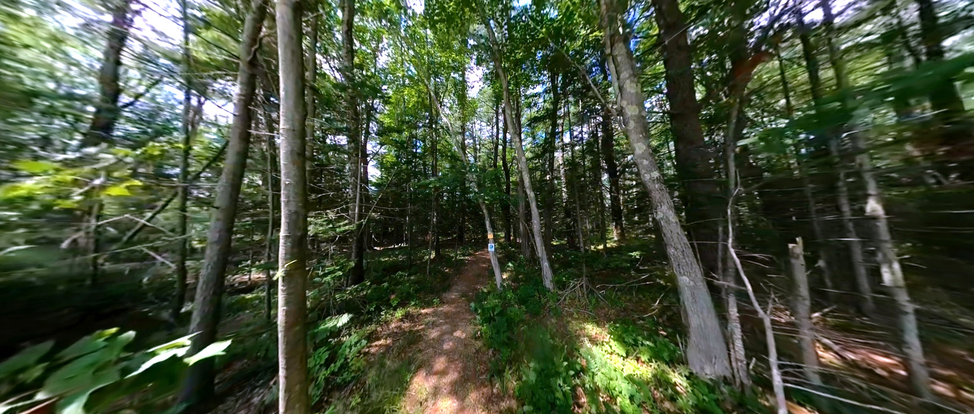 Blue Heron Trail
