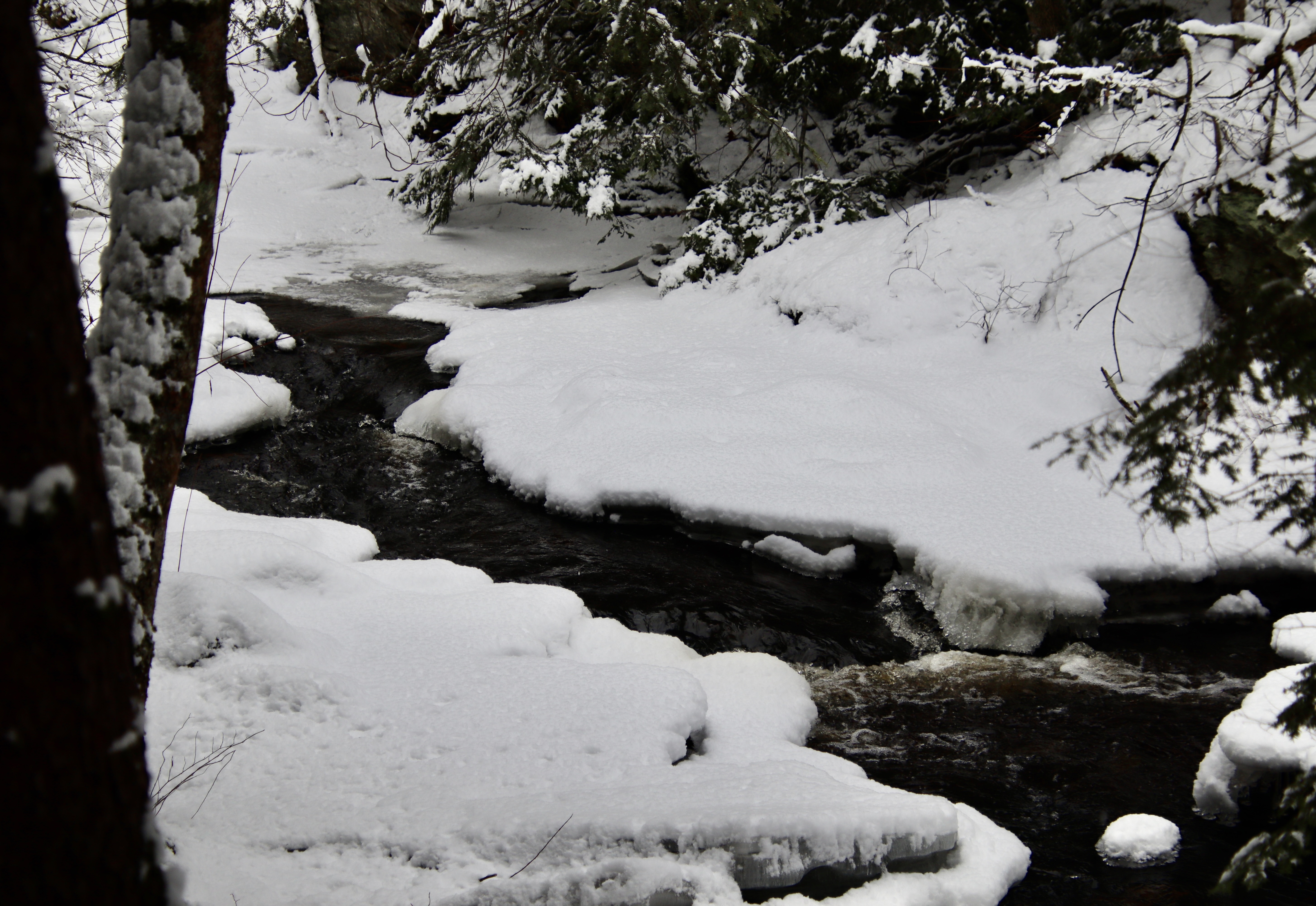 Headwaters in the Thurston Mills site