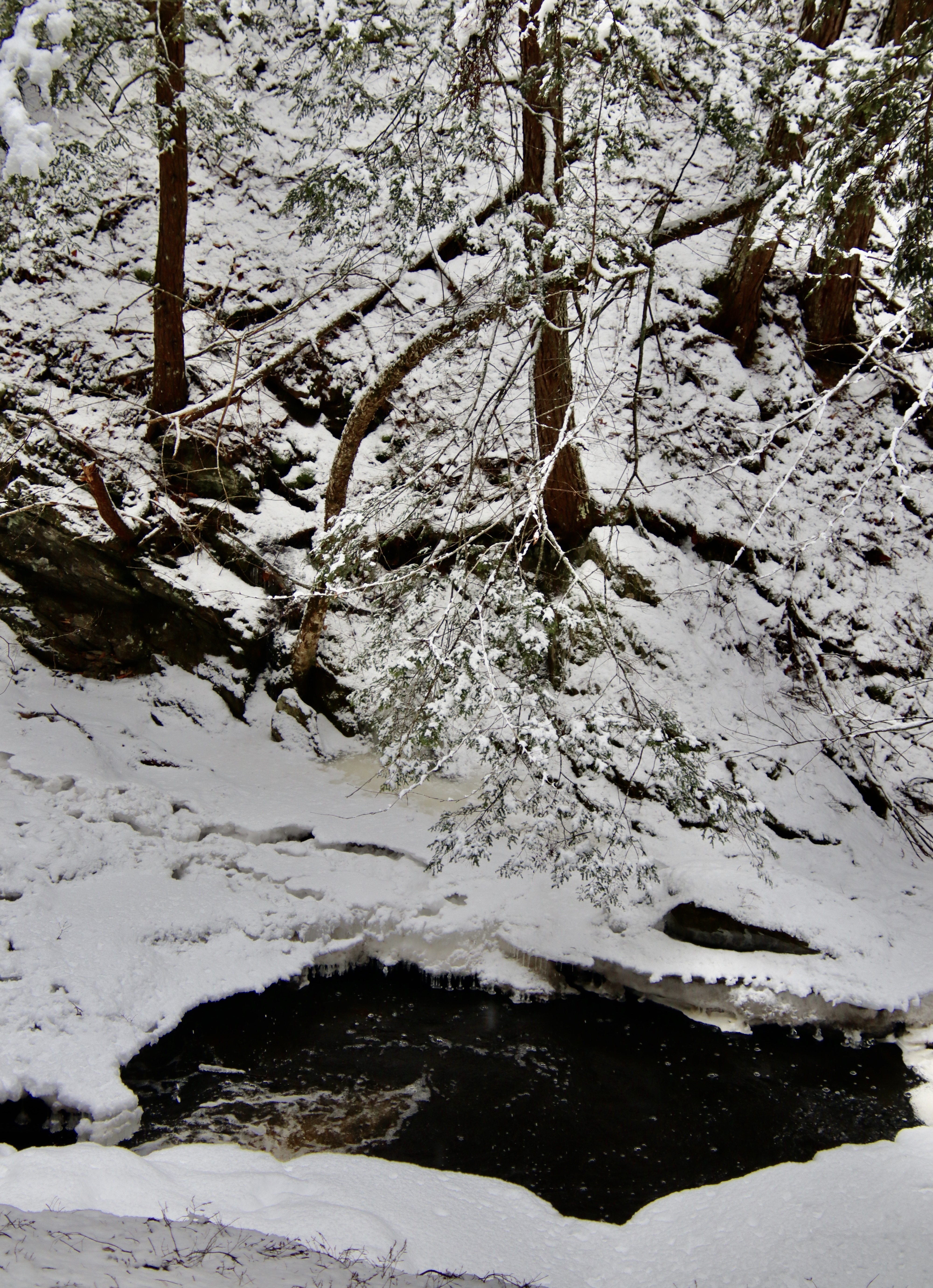 Headwaters in Thurston Mills