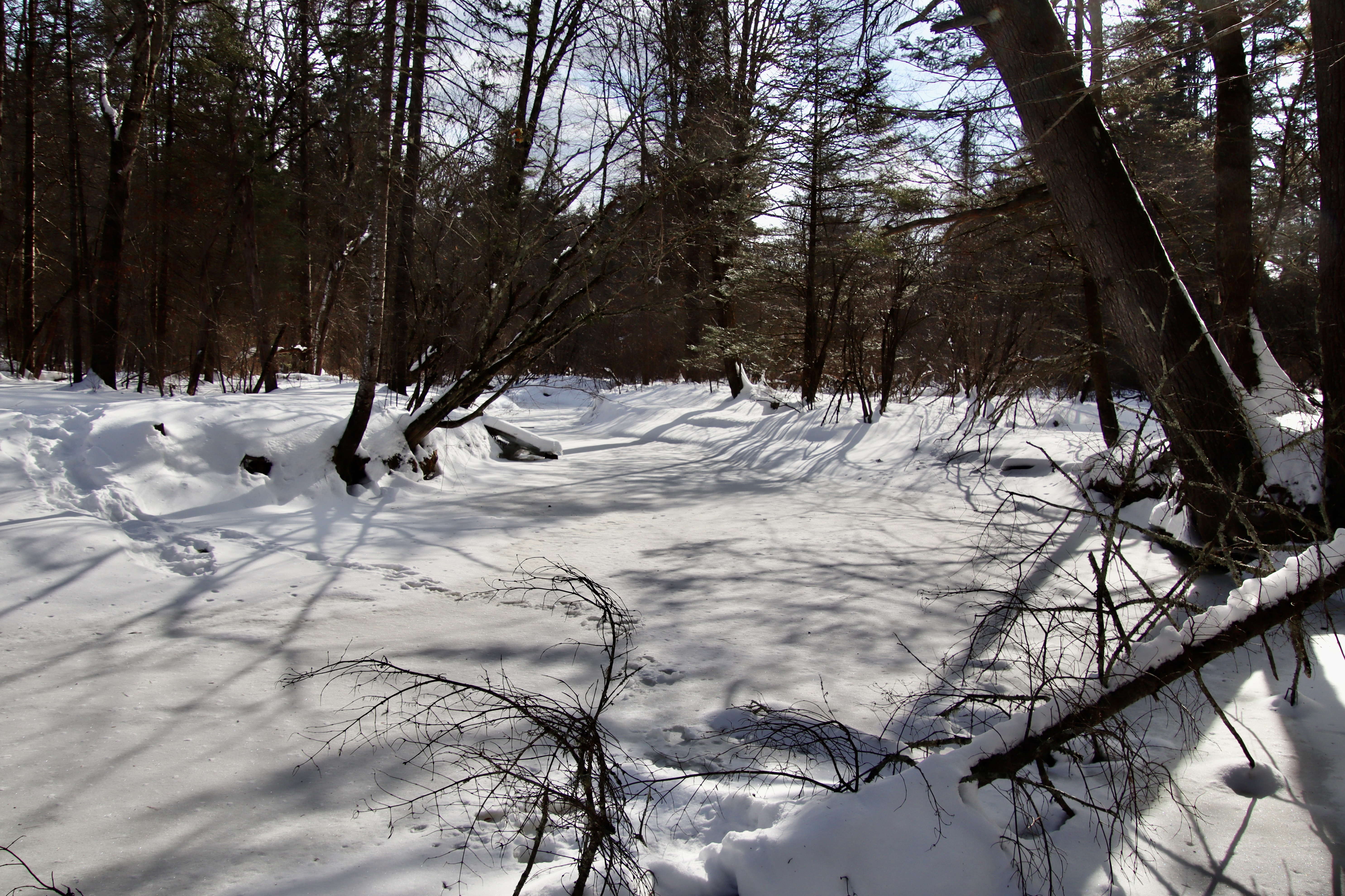 from the trails in Fuller Farm
