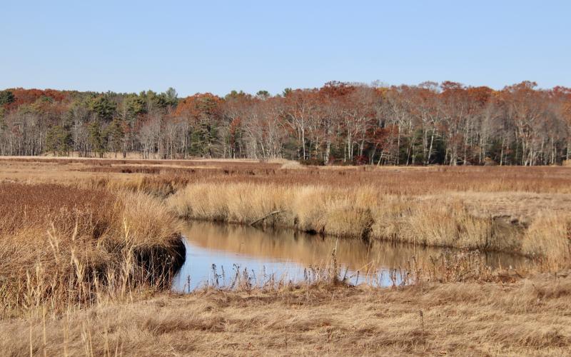 From the east side of Black Point Rd.