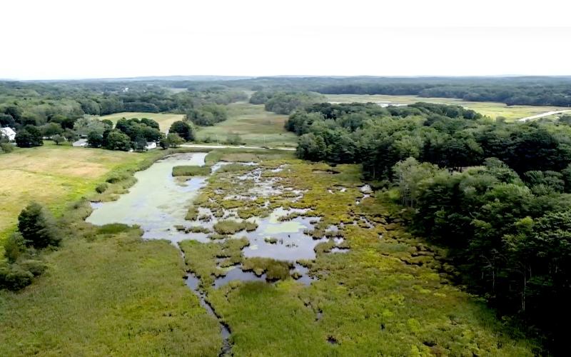 Mill Brook Point 3