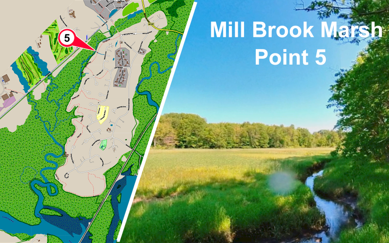 Mill Brook Point 05