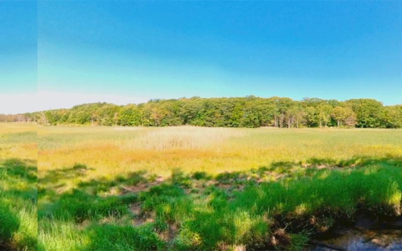 Mill Brook Point 05