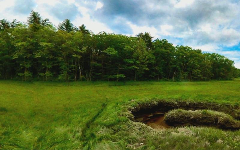 Mill Brook 06