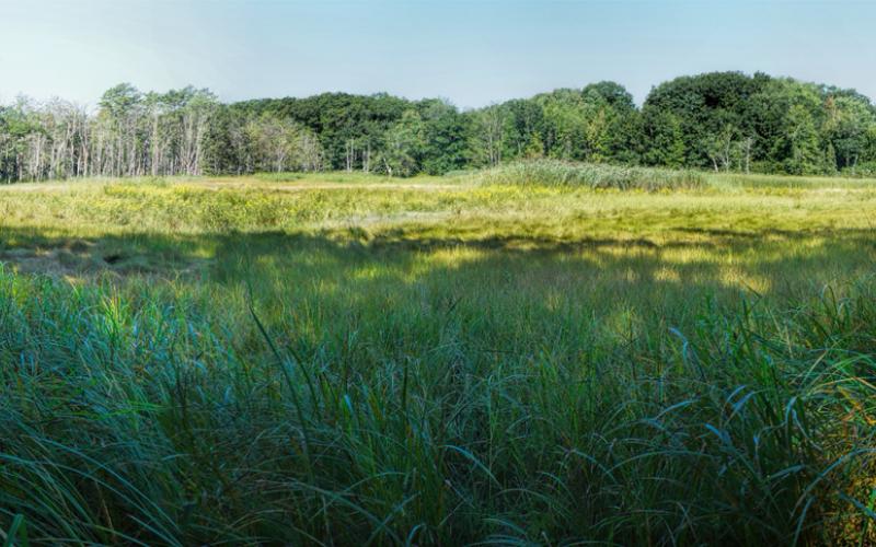 Mill Brook Point 06