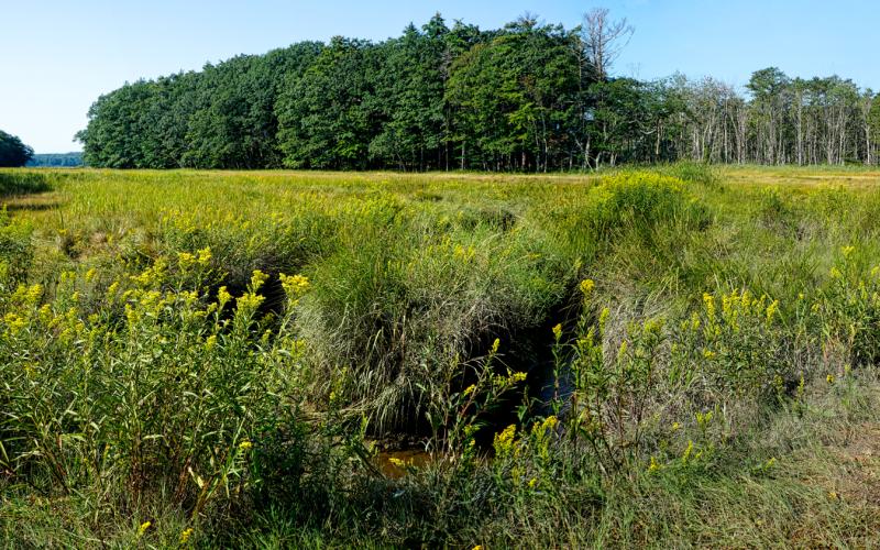 Mill Brook Point 06